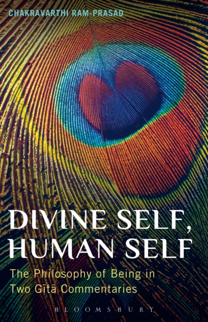 Divine Self, Human Self : The Philosophy of Being in Two Gita Commentaries, EPUB eBook