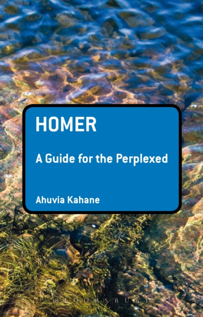 Homer: A Guide for the Perplexed, PDF eBook