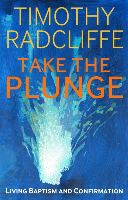 Take the Plunge : Living Baptism and Confirmation, PDF eBook