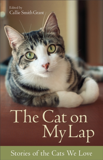 The Cat on My Lap : Stories of the Cats We Love, EPUB eBook