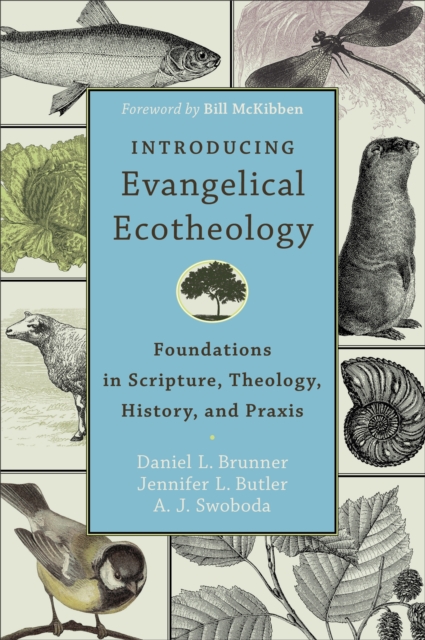 Introducing Evangelical Ecotheology : Foundations in Scripture, Theology, History, and Praxis, EPUB eBook