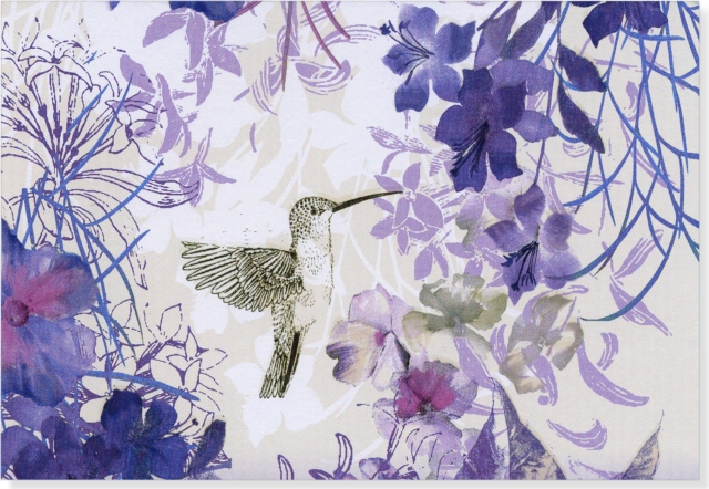 Note Card Hummingbird, Cards Book