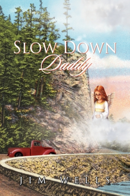 Slow Down Daddy, Hardback Book