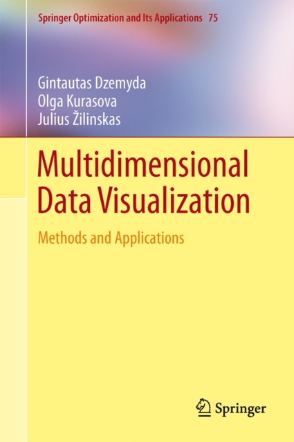 Multidimensional Data Visualization : Methods and Applications, Hardback Book