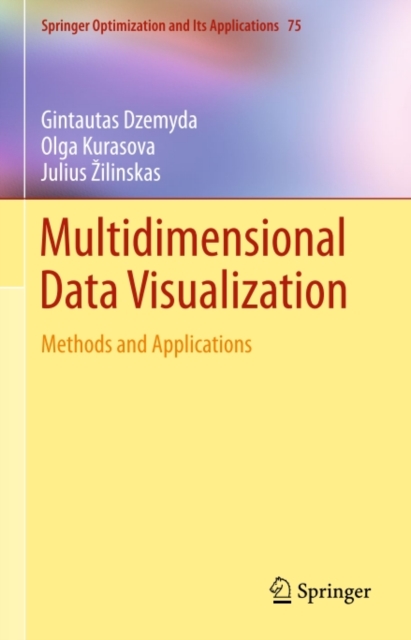 Multidimensional Data Visualization : Methods and Applications, PDF eBook