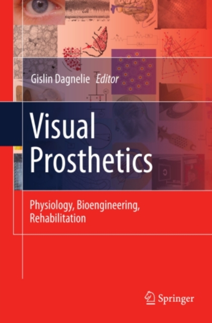 Visual Prosthetics : Physiology, Bioengineering, Rehabilitation, PDF eBook