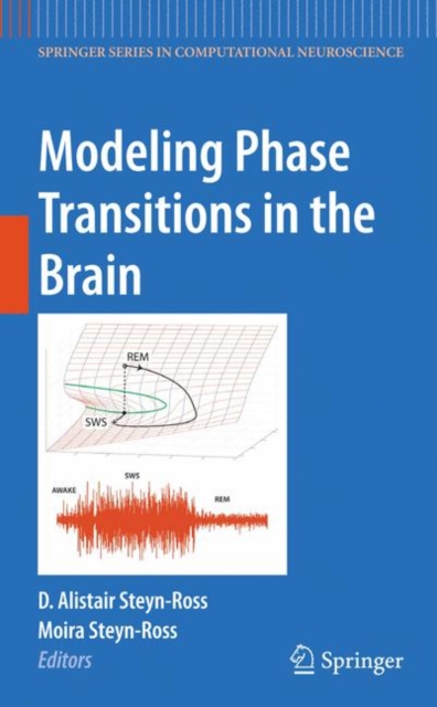 Modeling Phase Transitions in the Brain, Hardback Book