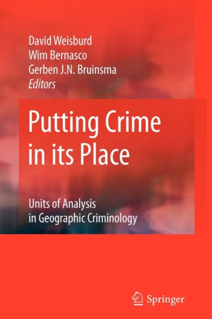 Putting Crime in its Place : Units of Analysis in Geographic Criminology, Paperback / softback Book
