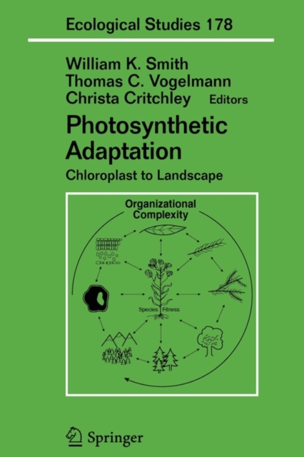 Photosynthetic Adaptation : Chloroplast to Landscape, Paperback / softback Book