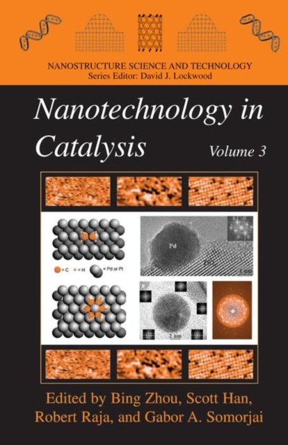 Nanotechnology in Catalysis 3, Paperback / softback Book