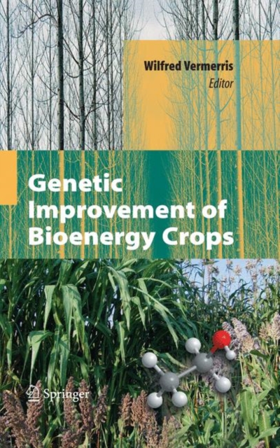 Genetic Improvement of Bioenergy Crops, Paperback / softback Book