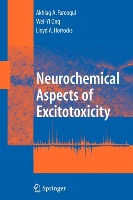 Neurochemical Aspects of Excitotoxicity, Paperback / softback Book