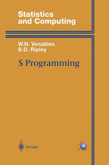 S Programming, Paperback / softback Book