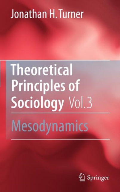 Theoretical Principles of Sociology, Volume 3 : Mesodynamics, Hardback Book