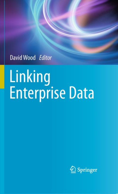 Linking Enterprise Data, PDF eBook