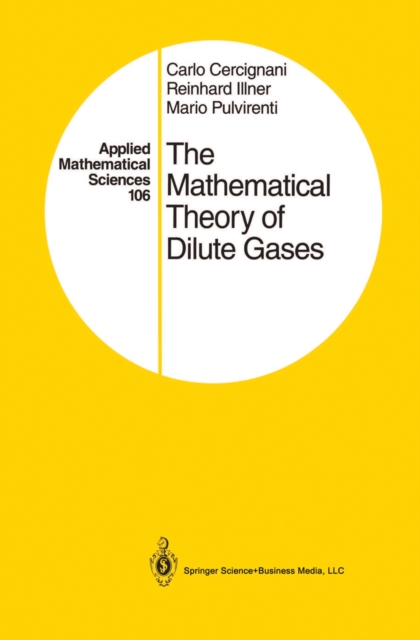 The Mathematical Theory of Dilute Gases, PDF eBook