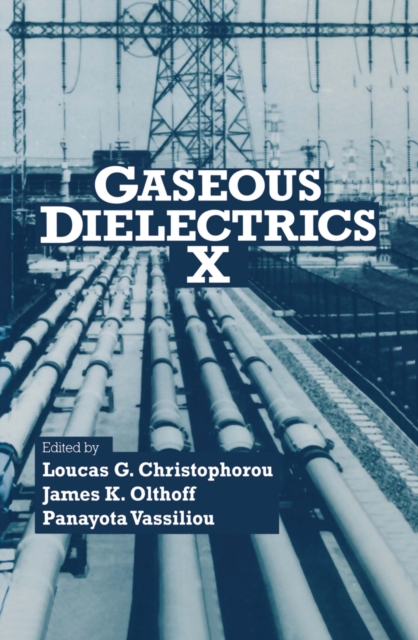 Gaseous Dielectrics X, PDF eBook