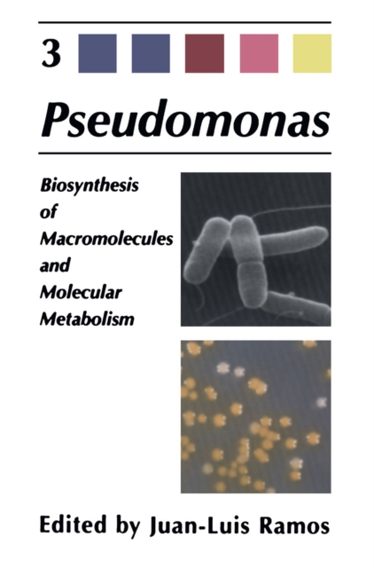 Pseudomonas : Volume 3 Biosynthesis of Macromolecules and Molecular Metabolism, PDF eBook