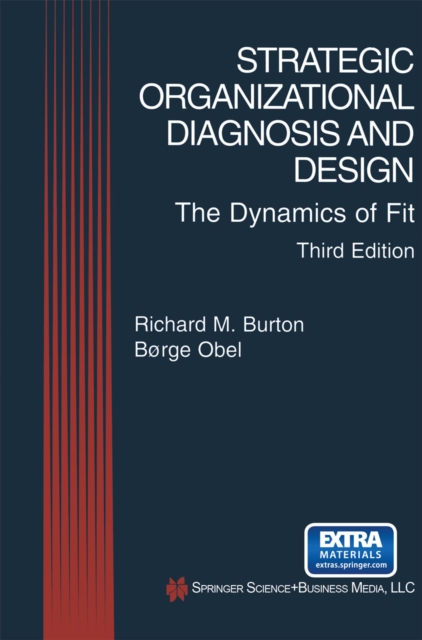 Strategic Organizational Diagnosis and Design : The Dynamics of Fit, PDF eBook