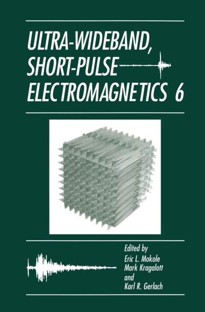 Ultra-Wideband, Short-Pulse Electromagnetics 6, PDF eBook