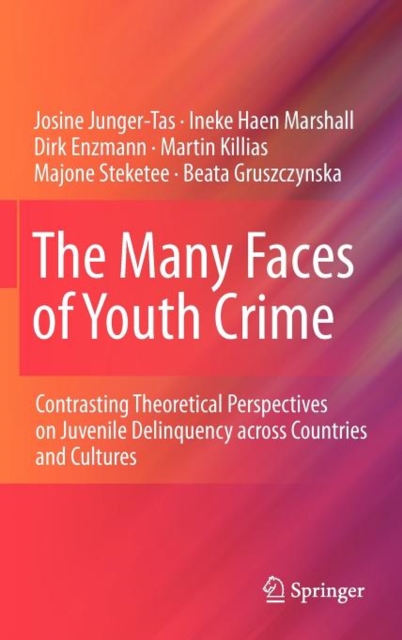 The Many Faces of Youth Crime : Contrasting Theoretical Perspectives on Juvenile Delinquency Across Countries and Cultures, Hardback Book
