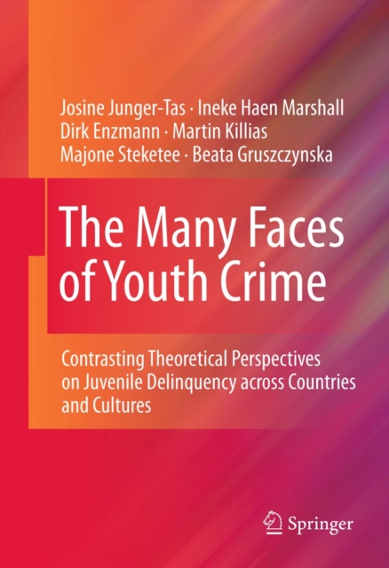 The Many Faces of Youth Crime : Contrasting Theoretical Perspectives on Juvenile Delinquency across Countries and Cultures, PDF eBook