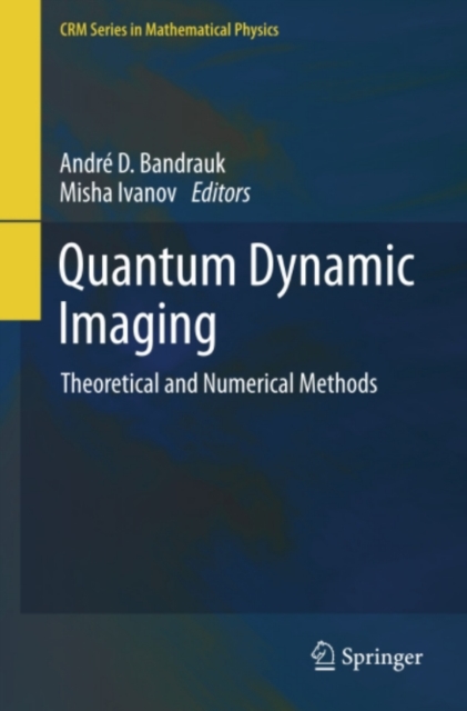 Quantum Dynamic Imaging : Theoretical and Numerical Methods, PDF eBook