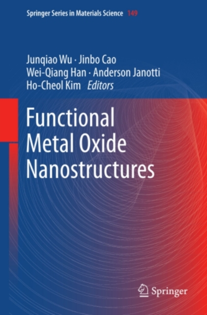 Functional Metal Oxide Nanostructures, PDF eBook