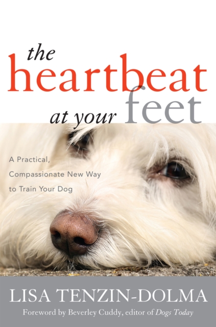 The Heartbeat at Your Feet : A Practical, Compassionate New Way to Train Your Dog, Paperback / softback Book