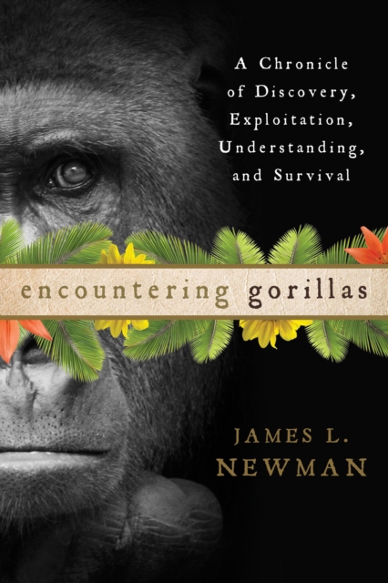 Encountering Gorillas : A Chronicle of Discovery, Exploitation, Understanding, and Survival, Hardback Book