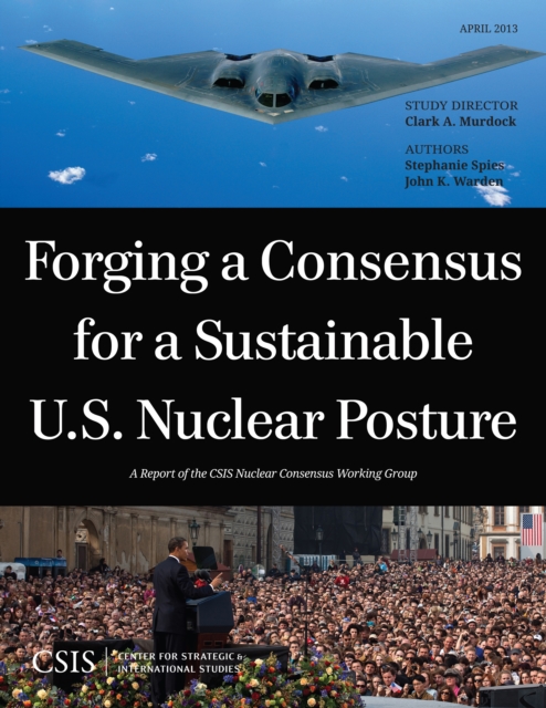 Forging a Consensus for a Sustainable U.S. Nuclear Posture, Paperback / softback Book
