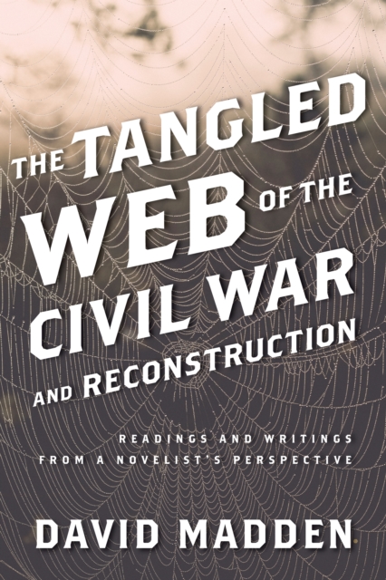 The Tangled Web of the Civil War and Reconstruction : Readings and Writings from a Novelist's Perspective, Hardback Book