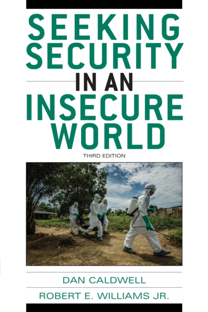 Seeking Security in an Insecure World, Paperback / softback Book