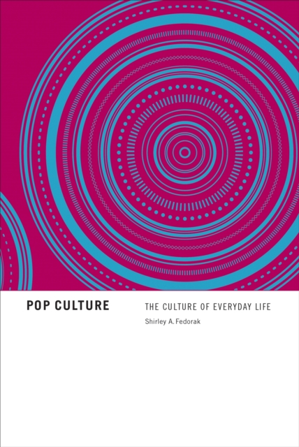 Pop Culture : The Culture of Everyday Life, Paperback / softback Book