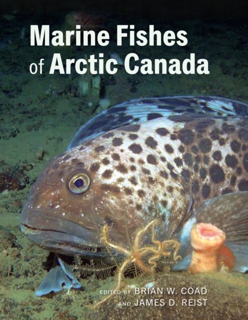 Marine Fishes of Arctic Canada, Hardback Book