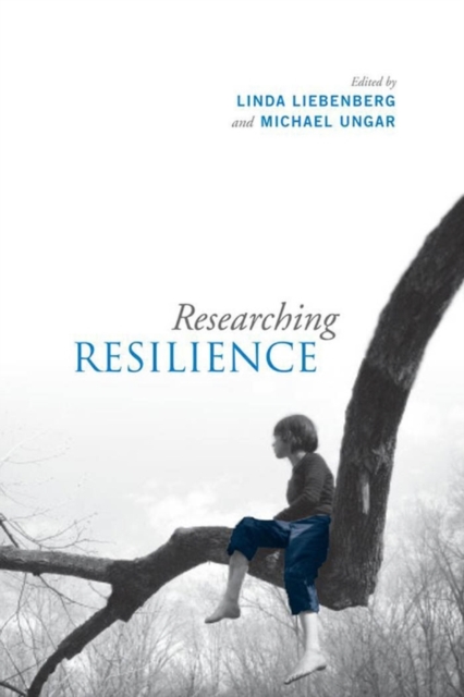 Researching Resilience, PDF eBook