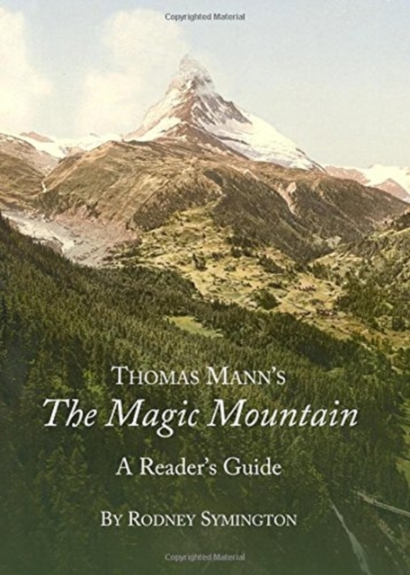 Thomas Mann's The Magic Mountain : A Reader's Guide, Paperback / softback Book