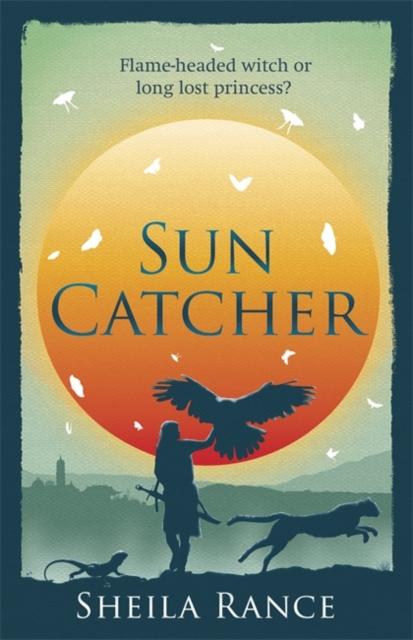 Sun Catcher, Hardback Book
