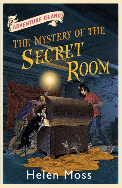 Adventure Island: The Mystery of the Secret Room : Book 13, Paperback / softback Book