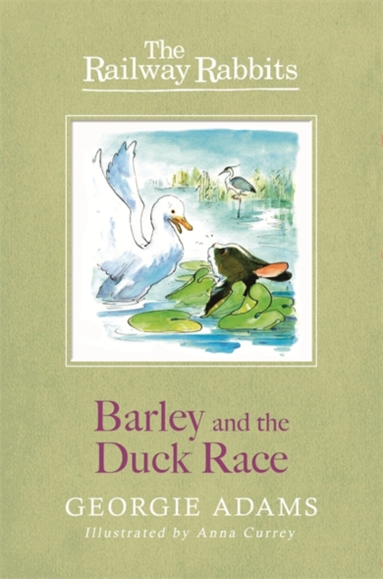 Railway Rabbits: Barley and the Duck Race : Book 9, Paperback / softback Book