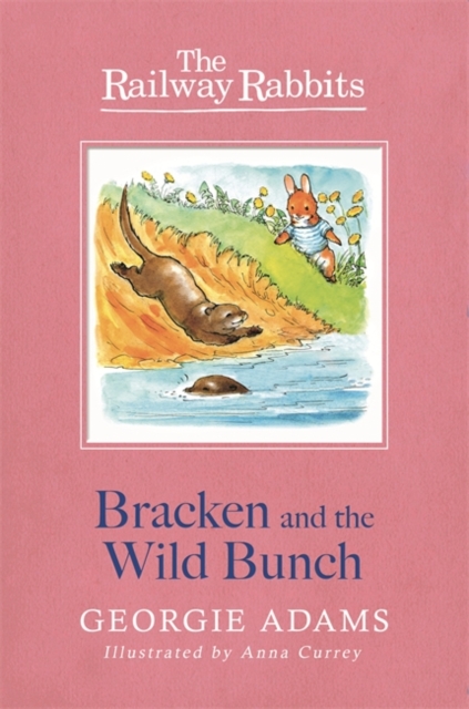 Railway Rabbits: Bracken and the Wild Bunch : Book 11, Paperback / softback Book