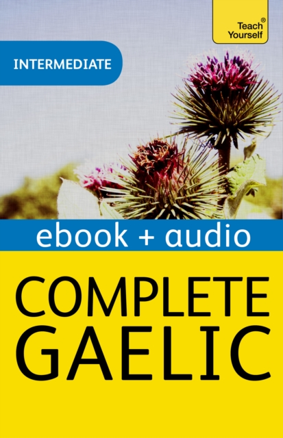 Complete Gaelic Beginner to Intermediate Book and Audio Course : Learn to read, write, speak and understand a new language with Teach Yourself, EPUB eBook