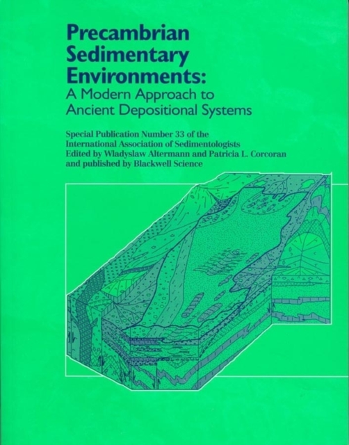 Precambrian Sedimentary Environments : A Modern Approach to Ancient Depositional Systems, PDF eBook