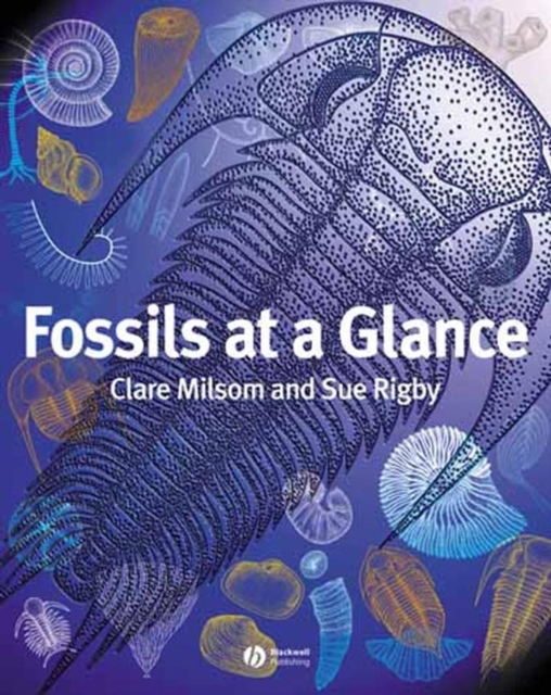 Fossils at a Glance, PDF eBook
