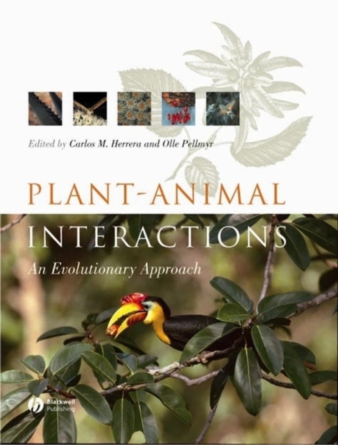 Plant Animal Interactions : An Evolutionary Approach, PDF eBook