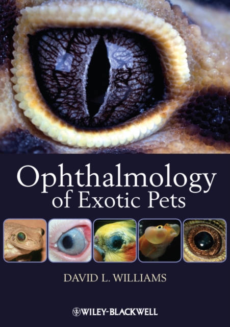 Ophthalmology of Exotic Pets, Paperback / softback Book