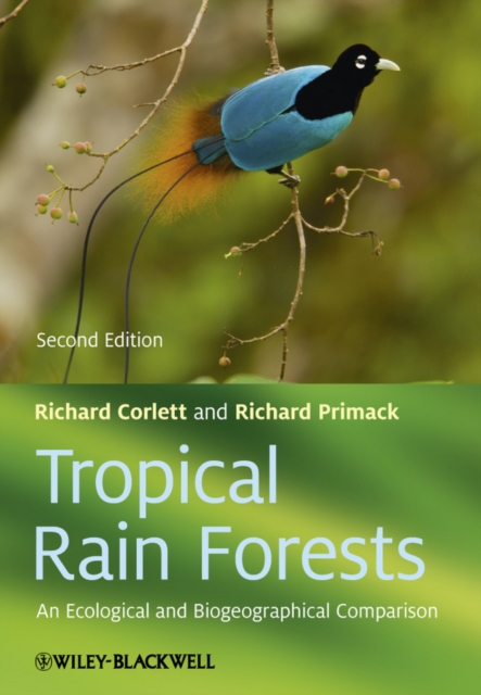 Tropical Rain Forests - An Ecological and Biogeographical Comparison 2e, Paperback / softback Book