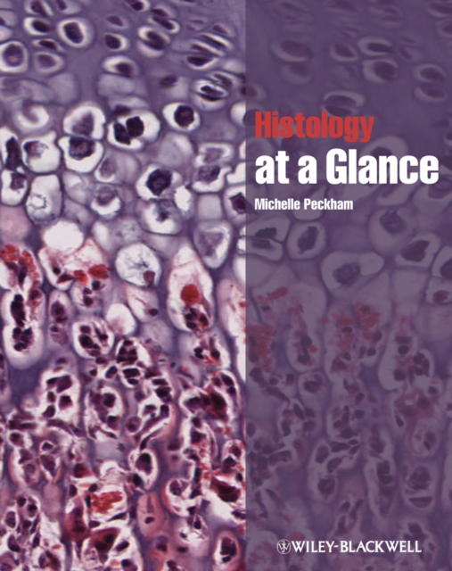 Histology at a Glance, Paperback / softback Book