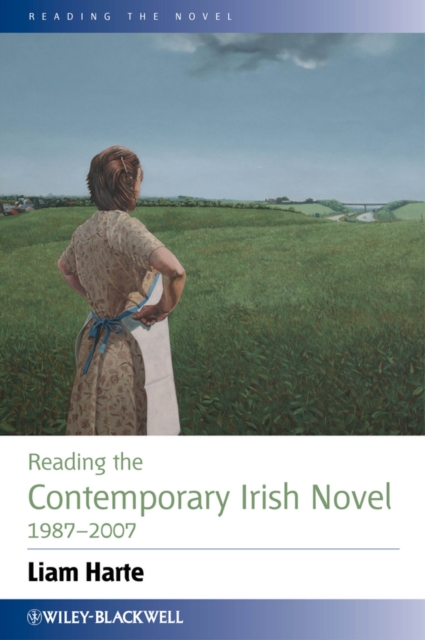 Reading the Contemporary Irish Novel 1987 - 2007, Hardback Book
