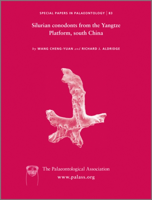 Special Papers in Palaeontology, Silurian Conodonts from the Yangtze Platform, South China, Paperback / softback Book